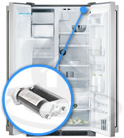 Filtro Frigorifero EWF2CBPA FC100 Icon Pure Advantage AEG_Electrolux